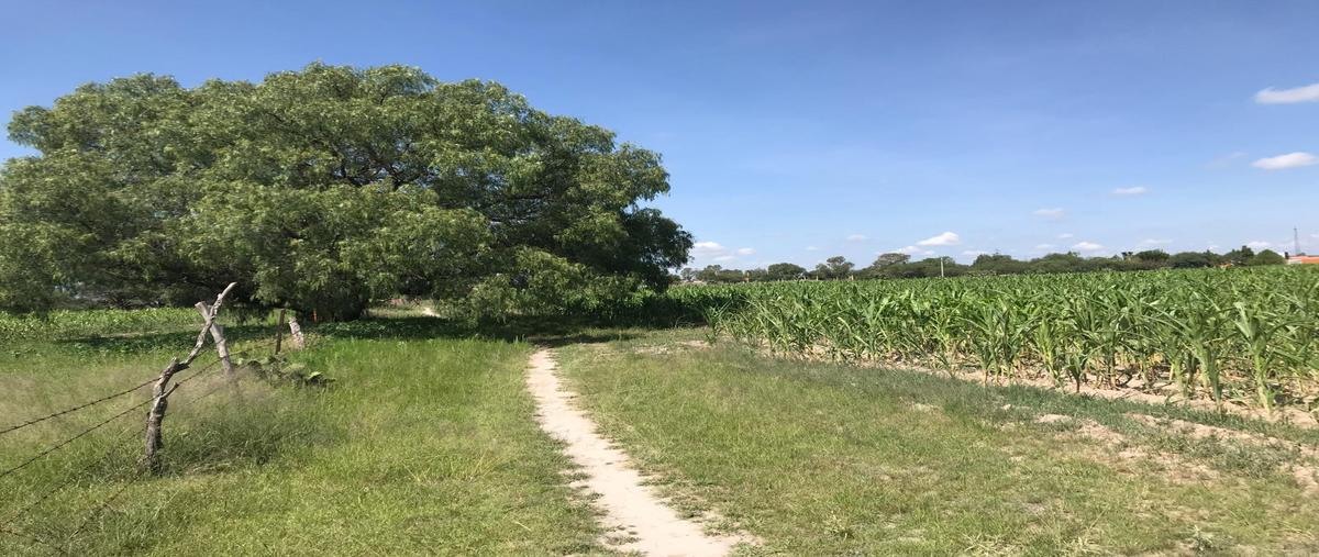 Foto de terreno habitacional en venta en  , el llano [cereso], el llano, aguascalientes, 0 No. 05